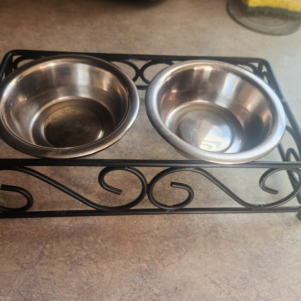 Stainless Steel Pet Bowls with Black Stand